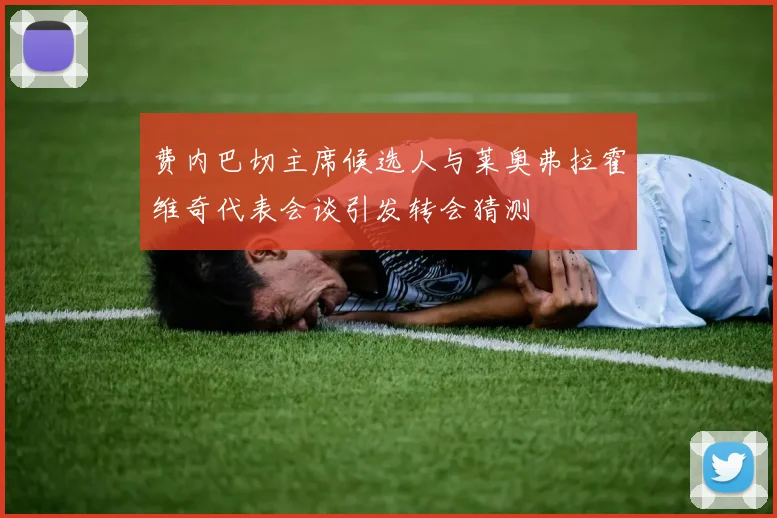 费内巴切主席候选人与莱奥弗拉霍维奇代表会谈引发转会猜测
